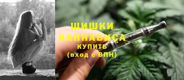 бошки Белокуриха