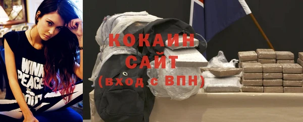 бошки Белокуриха