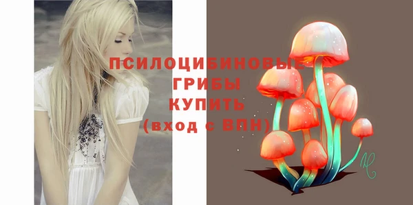 бошки Белокуриха