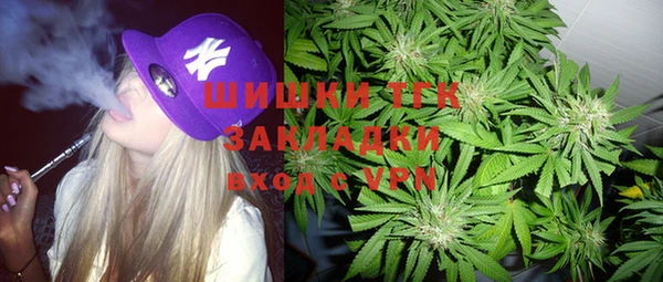 бошки Белокуриха