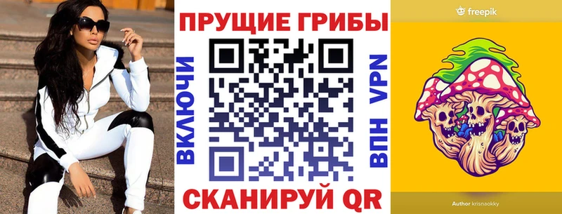 Галлюциногенные грибы Psilocybe  Тула 